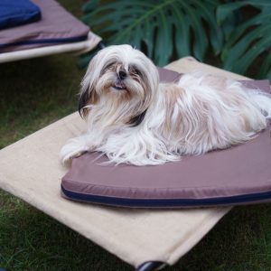 Brown Dog Mat